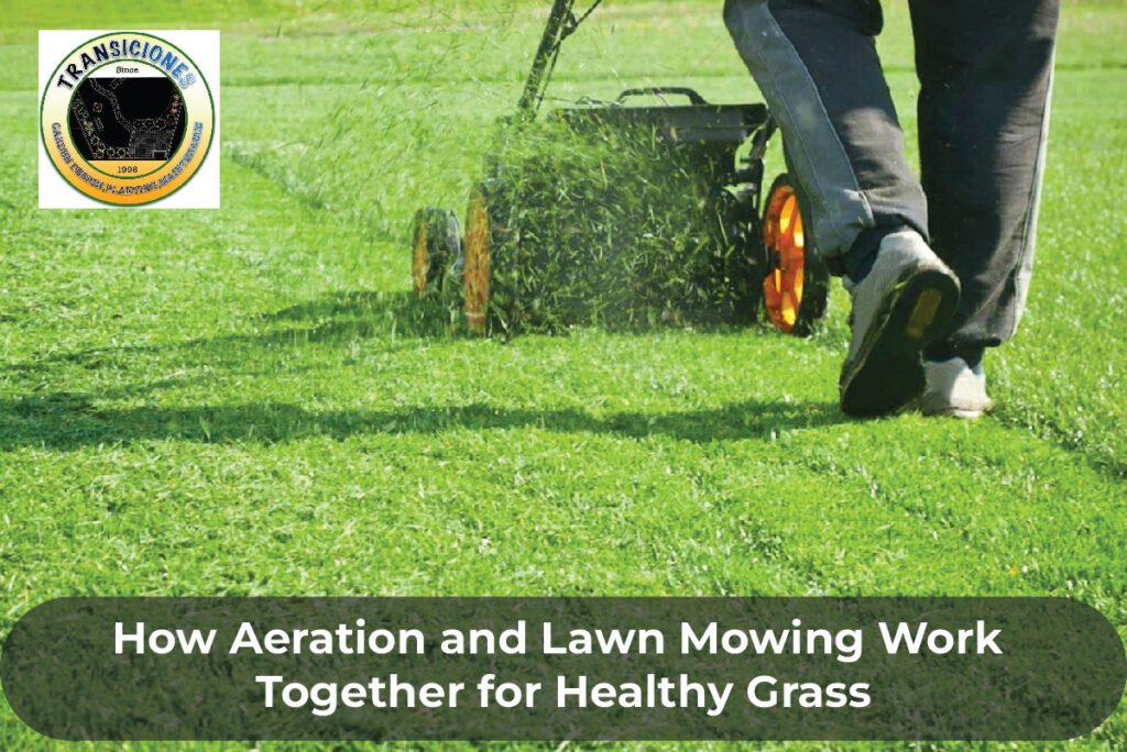 Lawn Aeration and Mowing