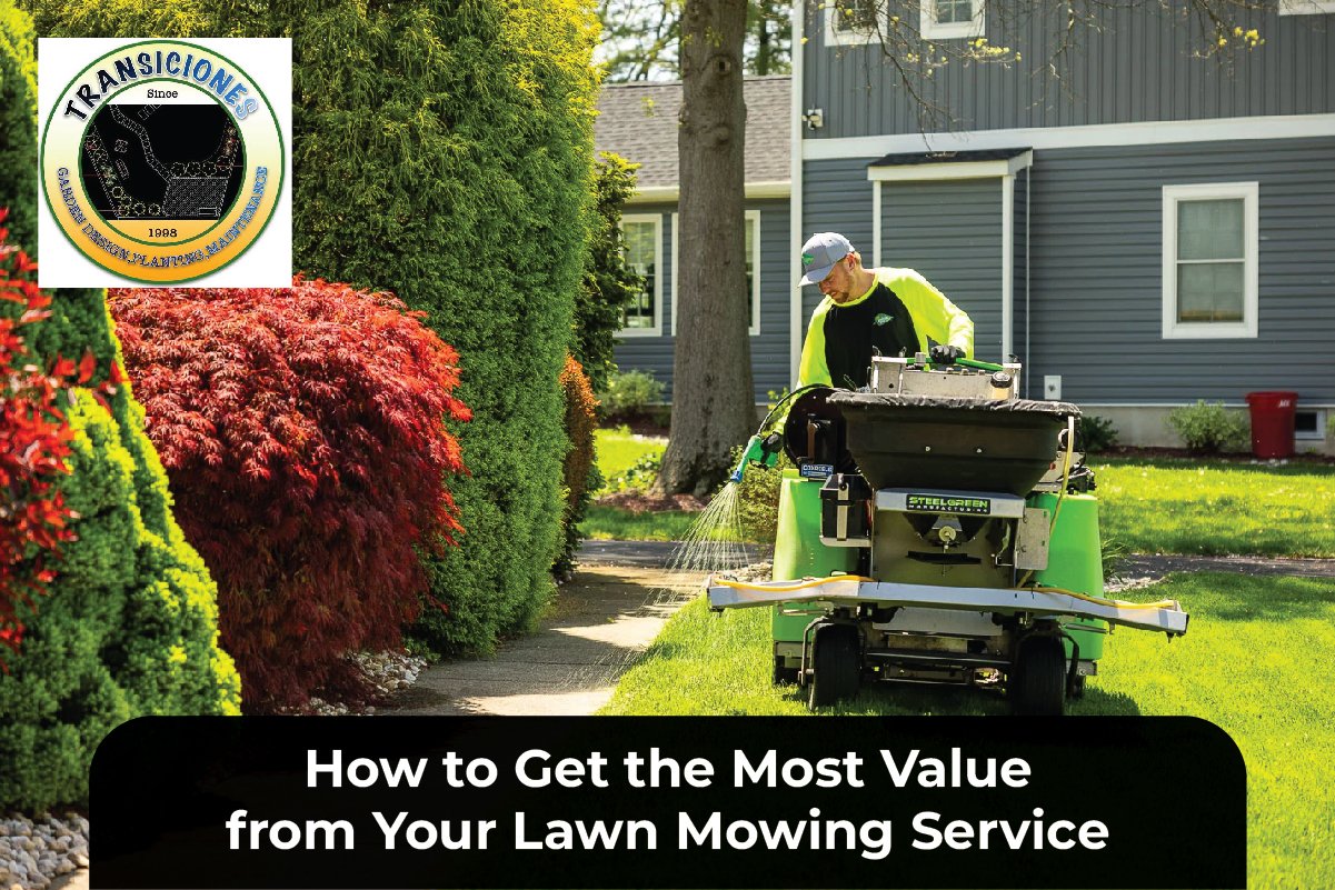 Lawn Mowing Service