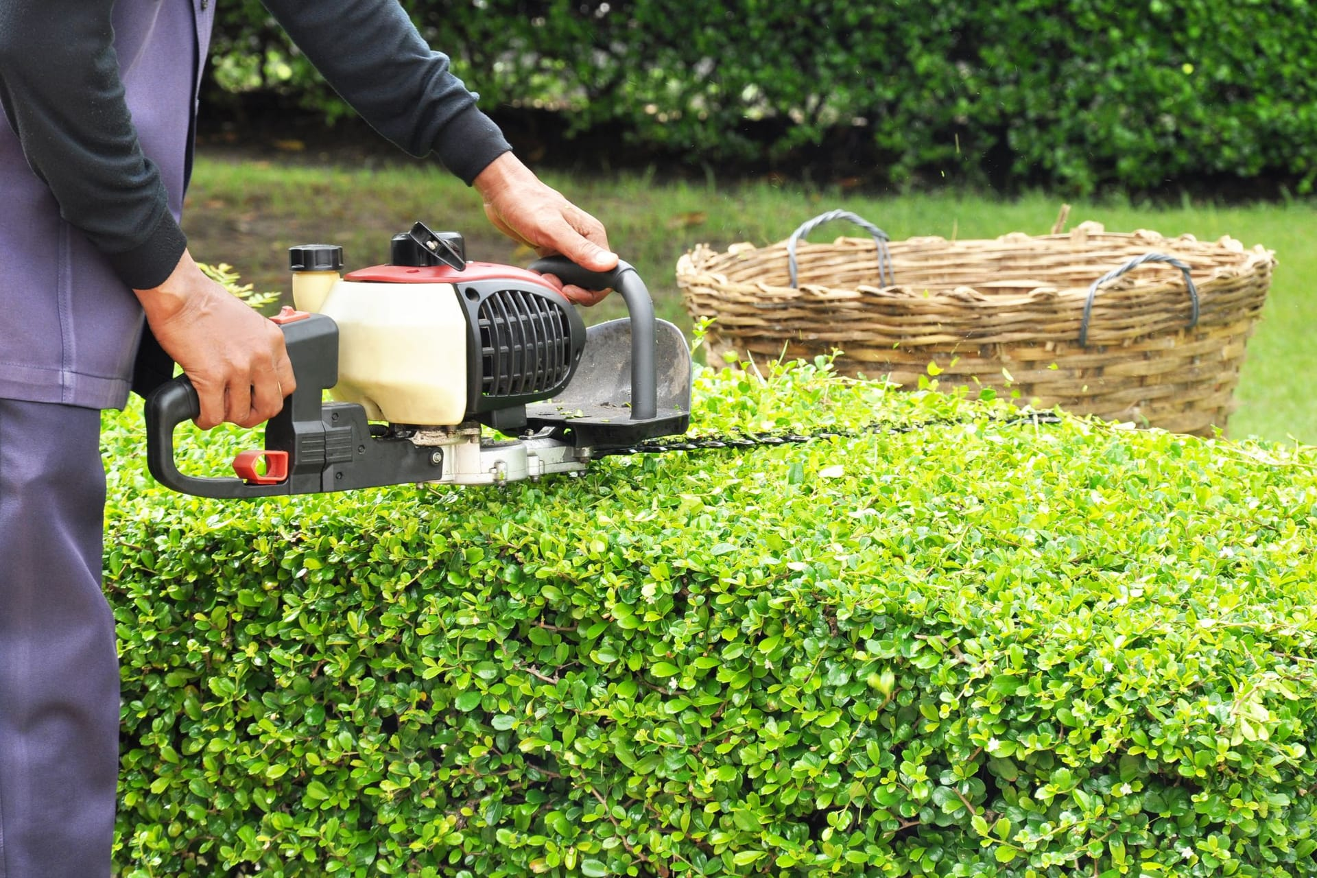 Garden Maintenance Services Near You in New York City, NY