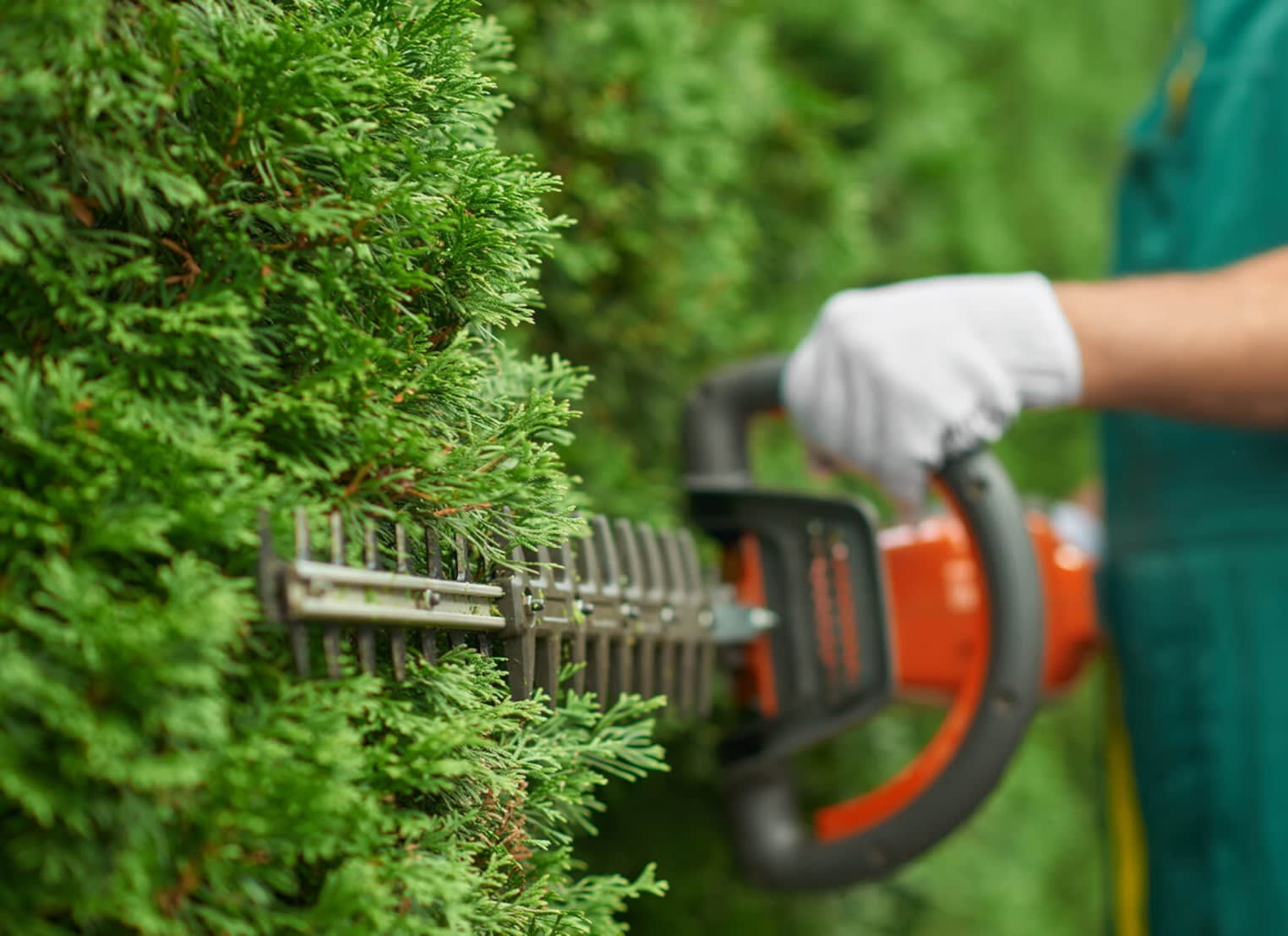 Get Reliable Garden Maintenance Services in New York, NY