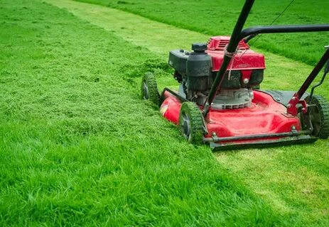 Lawn Mowing Service Near You in New York City, NY