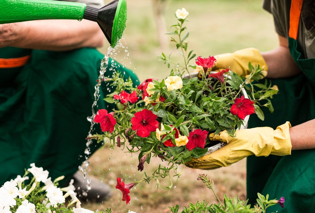 Planting Services Near You in New York City, NY
