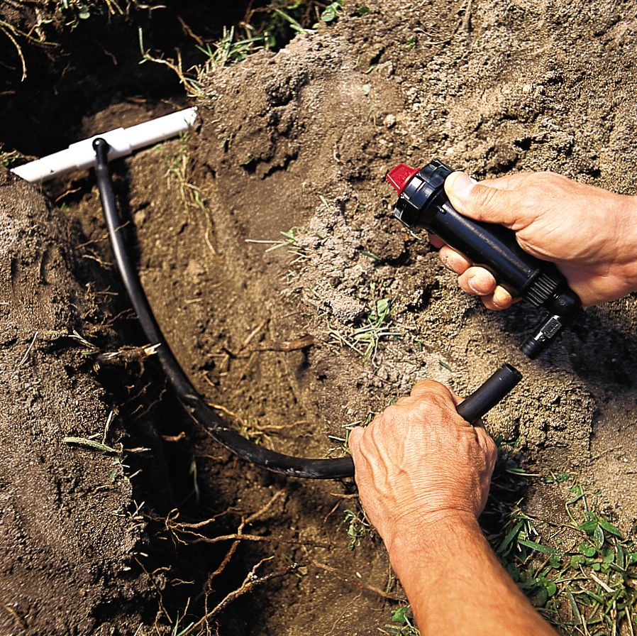 Ready to Upgrade Your Landscape