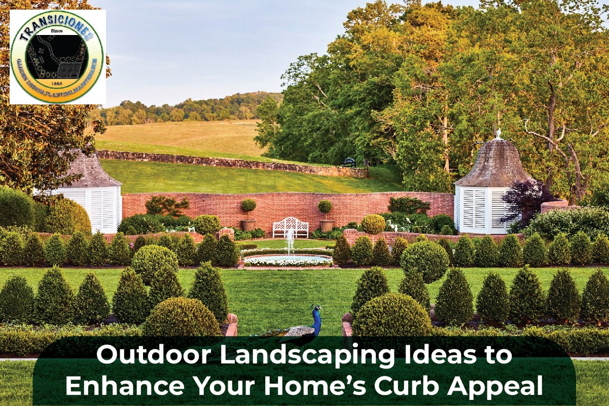 Outdoor Landscaping Ideas