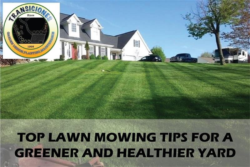 Top Lawn Mowing Tips
