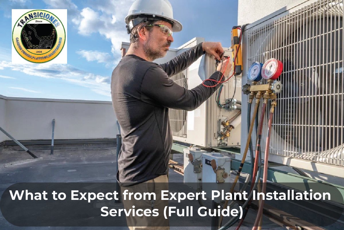 Plant installation services