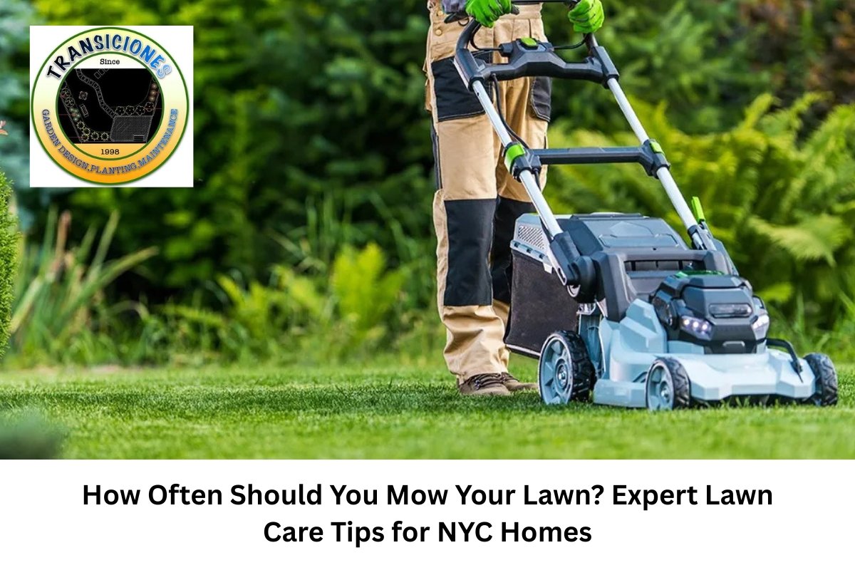 Lawn Care Tips